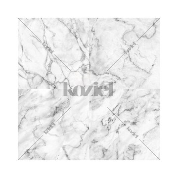 8888-220 white-gray-marble