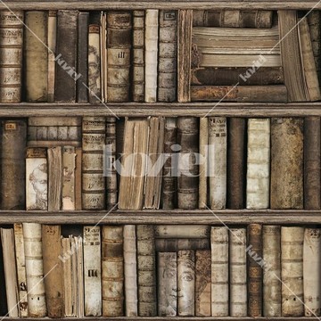 8888-561 antique-bookshelves