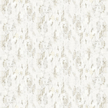 8888-75A antique-painted-wall-white