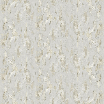 Antique painted wall - Gray 8888-75B
