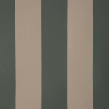 Stripe Forward Green