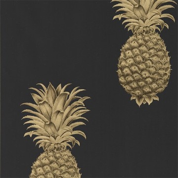 Pineapple 216326