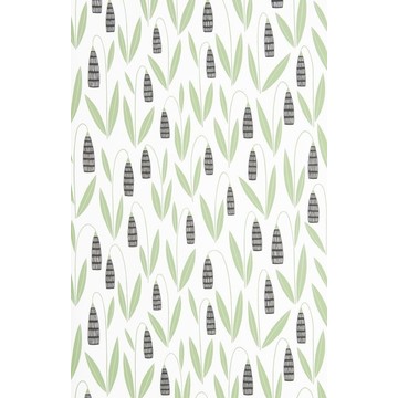 MISP1275-SNOWDROPS-Forest-Shade