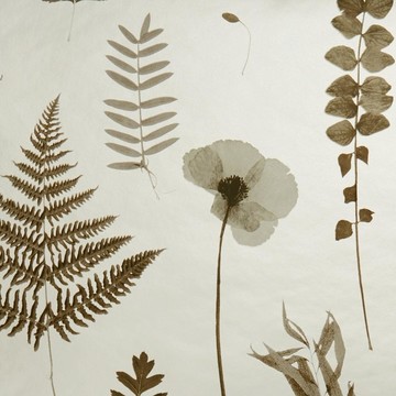 Herbarium W0091-02
