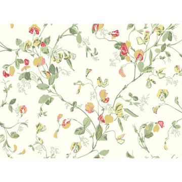C&S_Botanical ~Botanica~_Sweet Pea ~Lathyrus odoratus~ 100-6027_RGB