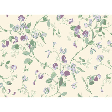 C&S_Botanical ~Botanica~_Sweet Pea ~Lathyrus odoratus~ 100-6030_RGB