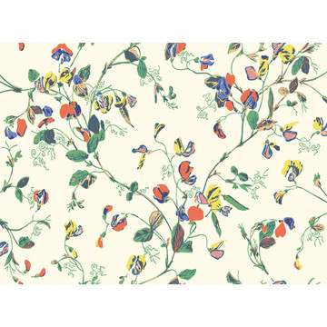 C&S_Botanical ~Botanica~_Sweet Pea ~Lathyrus odoratus~ 115-11032_RGB