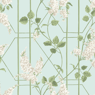 C&S_Botanical ~Botanica~_Wisteria ~Wisteria floribunda~ 115-5014_RGB
