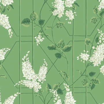 C&S_Botanical ~Botanica~_Wisteria ~Wisteria floribunda~ 115-5016_RGB