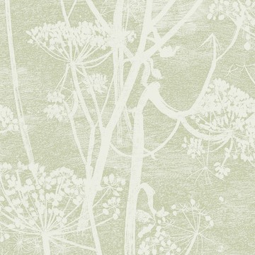Cole & Son_Icons_Cow Parsley_112-8029