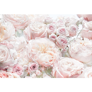 8-976_spring-roses